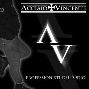 Acciaio Vincente - Professionisti dell'odio - Front.jpg