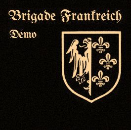 Brigade Frankreich - Demo.jpg