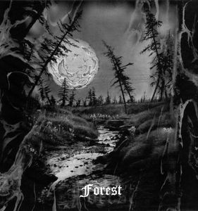 Forest [Vinyl] (06).jpg