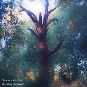 Francesca Ortolani - Operation Moonchild.jpg