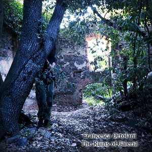 Francesca Ortolani - The Ruins of Galeria.jpg