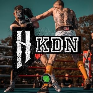 Hannes - KDN (Kampf Der Nibelungen).jpg