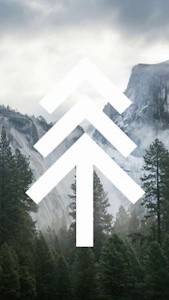 Pine Tree Riots - We'll Have Our Home Again.jpg