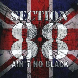 Section 88 - Ain't no black.jpg