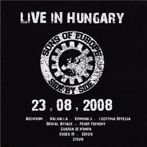 Sons of Europe - Side by side - Live in Hungary (23.08.2008).jpg