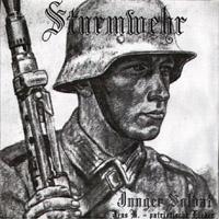 Sturmwehr - Junger Soldat.jpg