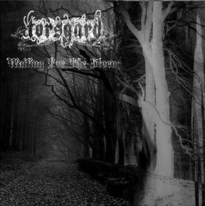 Torsgard - Waiting for the storm (2nd edition).jpg