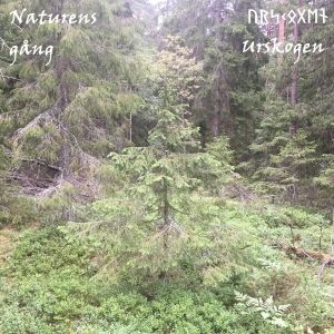 Urskogen - Naturens Gang.jpg