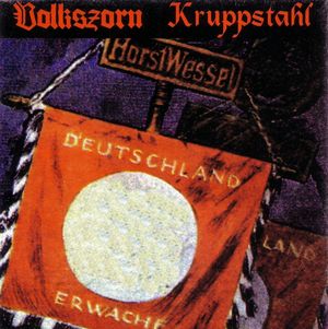Volkszorn & Kruppstahl - Deutschland Erwache! (2).jpg