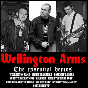 Wellington Arms - The essential demos.jpg